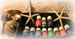 シロダーライメージ画像